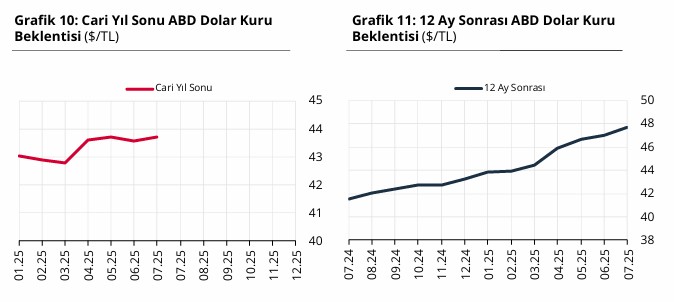 2025 Temmuz TCMB Piyasa Katılımcıları Anketi açıklandı: İşte yıl sonu dolar, enflasyon, büyüme ve faiz tahmini! - Resim : 4