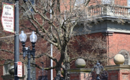 ABD, Harvard Üniversitesi'nin Değişim Ziyaretçi Programına uygunluğunu soruşturacak