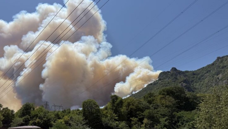 Sakarya, Bilecik, Manisa, İzmir ve Karabük'te orman yangını