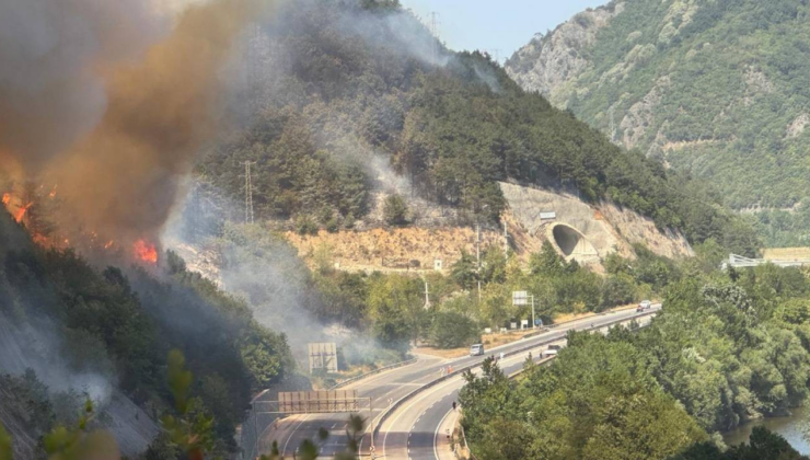 Sakarya'da orman yangınlarıyla ilgili paylaşım yapan meclis üyesi gözaltına alındı