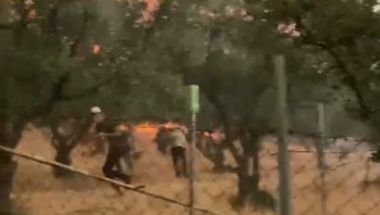Sakarya'da alevlerden kaçış kamerada!