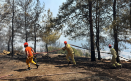 Antalya'da 2 ayrı orman yangını! Müdahale sürüyor