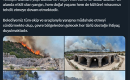 Antalya'da yangın: Alevler Perge Antik Kenti'ne sıçramadan söndürüldü