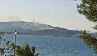 Cunda Adası’nda orman yangını