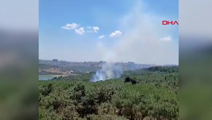 İstanbul'da da yangın başladı! Sultangazi Kent Ormanı'nda yangın çıktı