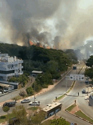Antalya Lara'daki yangın kontrol altına alındı!