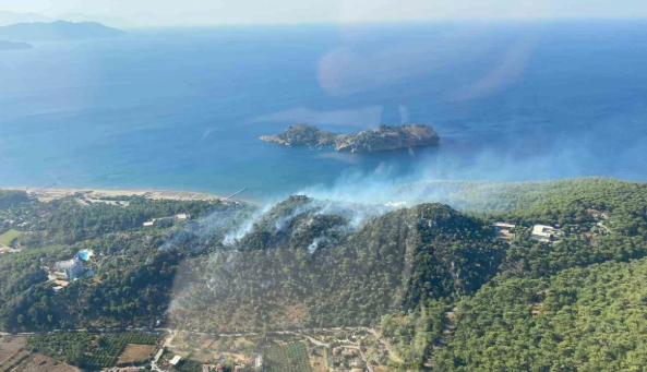 Muğla Ortaca’da orman yangını