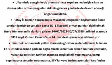 Hatay'da ormanlık alanlara girmek yasaklandı