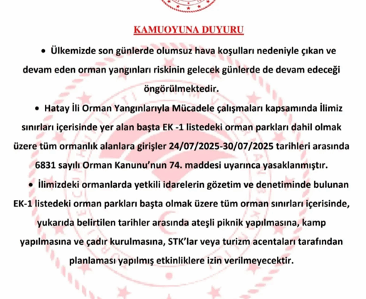 Hatay'da ormanlık alanlara girmek yasaklandı