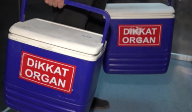 Organ bağışı eDevlet ve eNabız'dan yapılabilecek