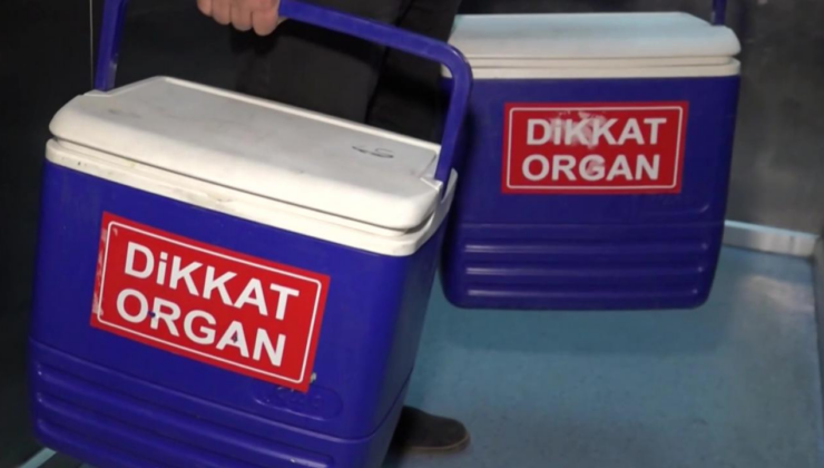 Organ bağışı eDevlet ve eNabız'dan yapılabilecek
