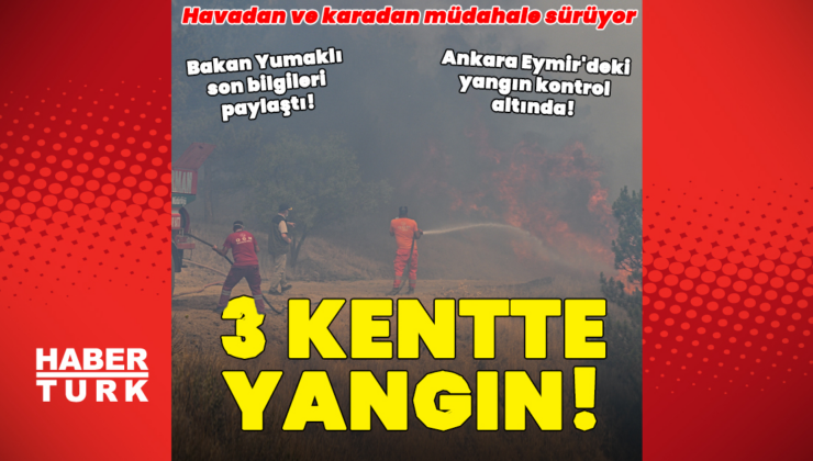 4 kentte orman yangını