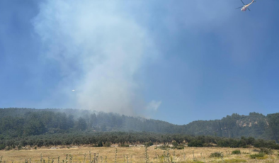 Muğla'da çıkan orman yangını kontrol altına alındı