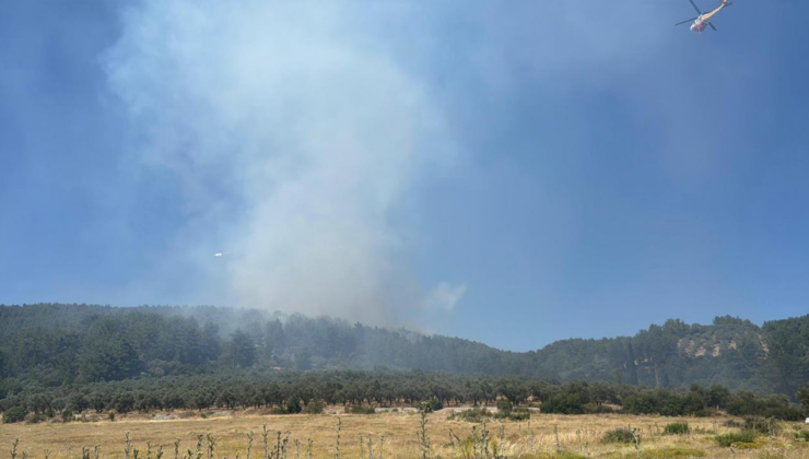 Muğla'da çıkan orman yangını kontrol altına alındı