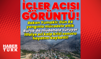Bursa’daki yangına müdahale sürüyor!
