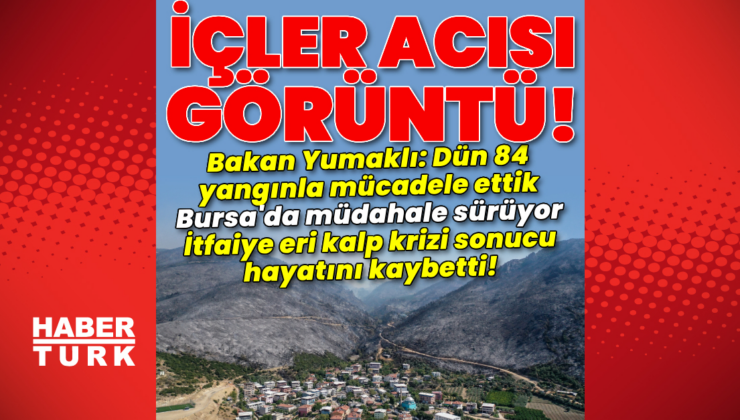 Bursa’daki yangına müdahale sürüyor!