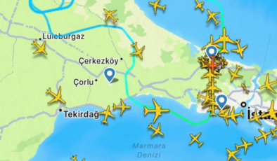 THY’nin Gatwick seferi kuş çarpması nedeniyle geri döndü