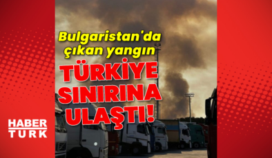 Bulgaristan'da çıkan yangın Türkiye sınırına ulaştı!
