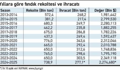 Üreticinin gözü TMO'da: Fındık fiyatı tarihi zirvelerini görebilir