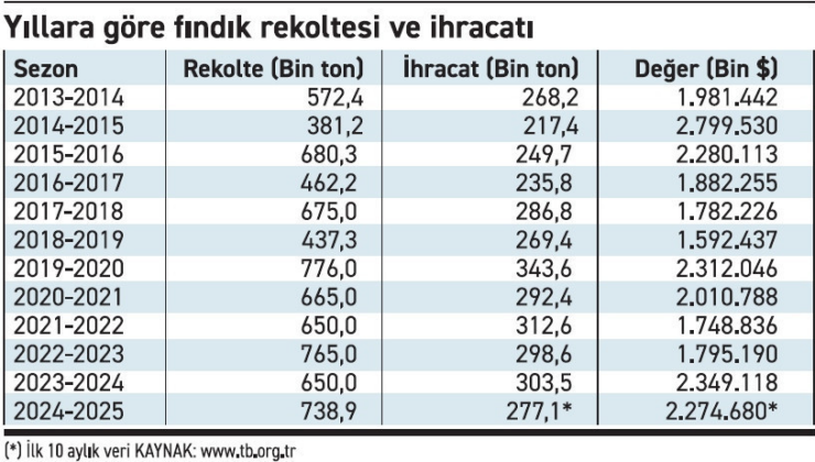 Üreticinin gözü TMO'da: Fındık fiyatı tarihi zirvelerini görebilir