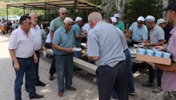 Felahiye'de "Gurbetçiler Pilav Festivali"