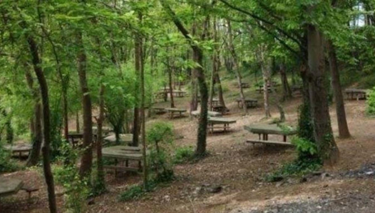 Bolu’da ateşli pikniğe yasak