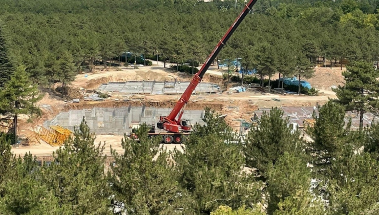 Yangınlar yetmedi, devletin kurumu lojman için ağaçları kesti