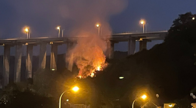 İstanbul Beykoz'da orman yangını!