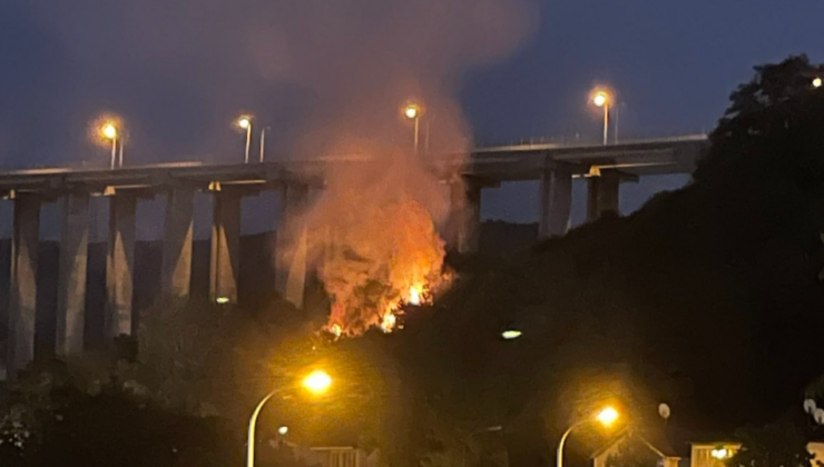 İstanbul Beykoz'da orman yangını!