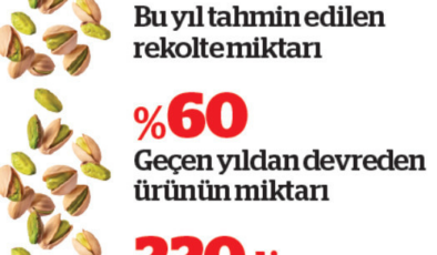 Antep fıstığında ‘yok yılı’ fiyatları ikiye katladı