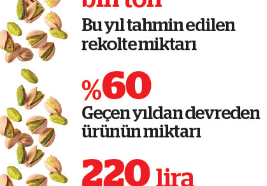 Antep fıstığında ‘yok yılı’ fiyatları ikiye katladı