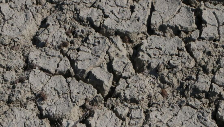 Kuraklığa karşı binalarda "su hasadı" önerisi