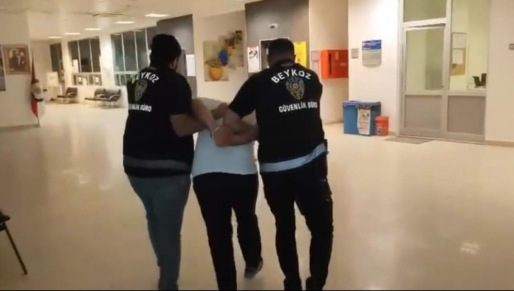 Beykoz'da işaret fişeği ile ormanı yakan şüpheli tutuklandı