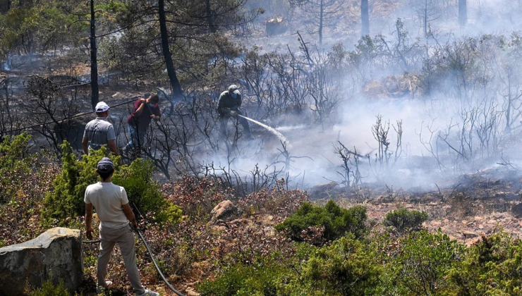 Havai fişek yangına sebep oldu, 4 şüpheli tutuklandı