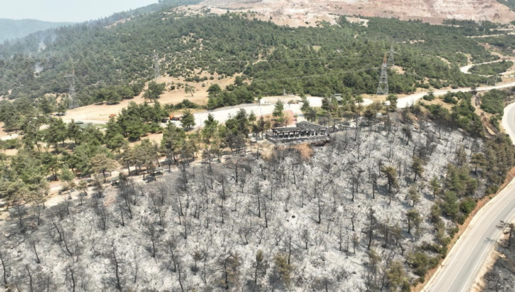 Gürsu’nun ciğerleri yandı: Tarihinin en büyük yangını sonrası yürek yakan görüntüler