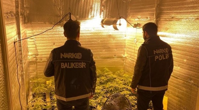 Ayvalık’ta uyuşturucu operasyonu: 7 Binden fazla madde ele geçirildi