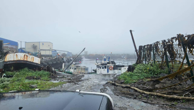 8,8'lik depremin ardından SeveroKurilsk kentinin bir kısmı sular altında kaldı