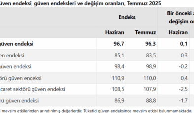 Ekonomik güven 10 ayın en düşüğünde!