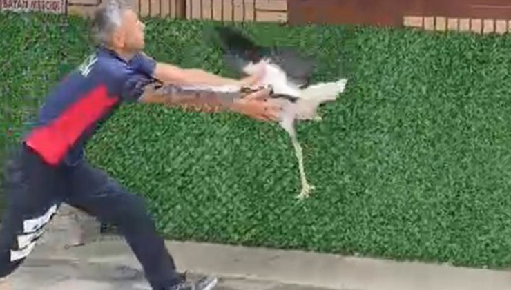 Tek ayaklı leyleği havada yakaladı, itfaiye erinin refleksi leyleğin hayatını kurtardı