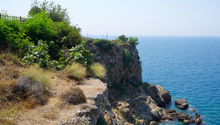 Dünyada sadece bir yerde yetişiyordu… Antalya'daki yangın o türü bitirdi!