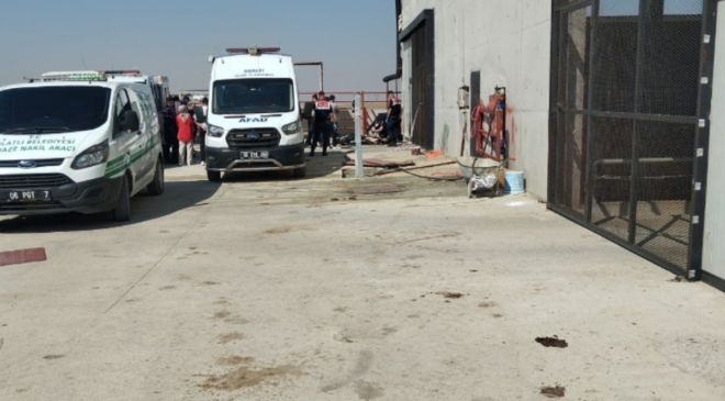 Besi çiftliğinde metan gazından zehirlenen 2 işçi öldü