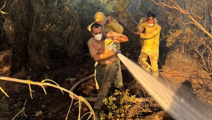 Denizli Tavas'ta orman yangını