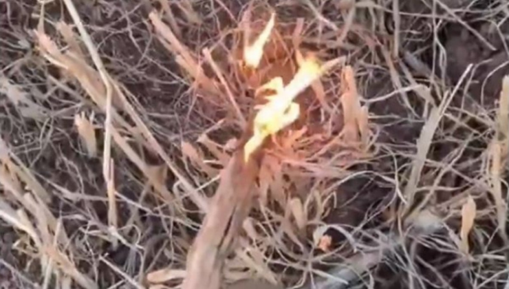 Kanayan yaramızdı; Anız yakıp paylaşan çocuk gözaltına alındı!