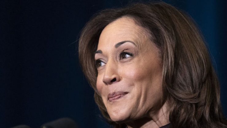 Kamala Harris: Vali adayı değilim