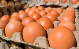 Ünlü market, yumurta satın alan herkese acil bir mesaj yolladı