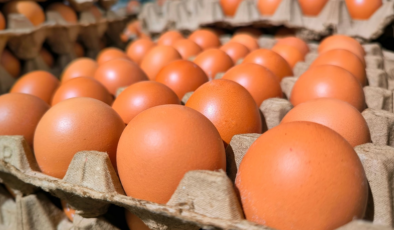 Ünlü market, yumurta satın alan herkese acil bir mesaj yolladı