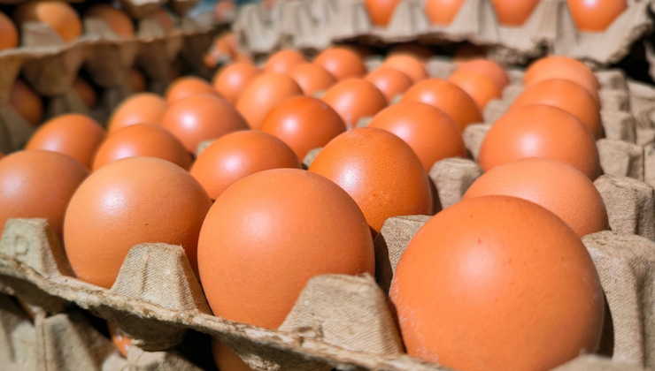 Ünlü market, yumurta satın alan herkese acil bir mesaj yolladı