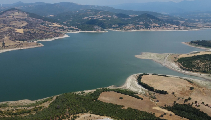 Korkutan tablo: 2 ayda yarı yarıya düştü