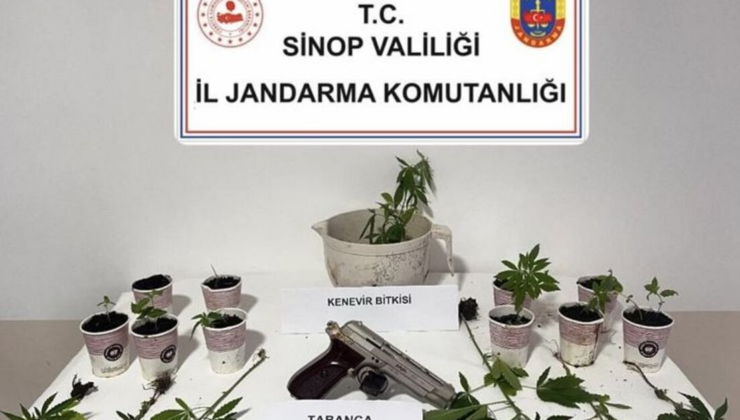 Sinop'ta uyuşturucu operasyonu: 4 gözaltı