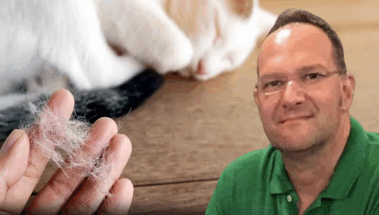 Ölüm nedeni 'kedi tüyü' denilmişti: Gerçek bambaşka çıktı